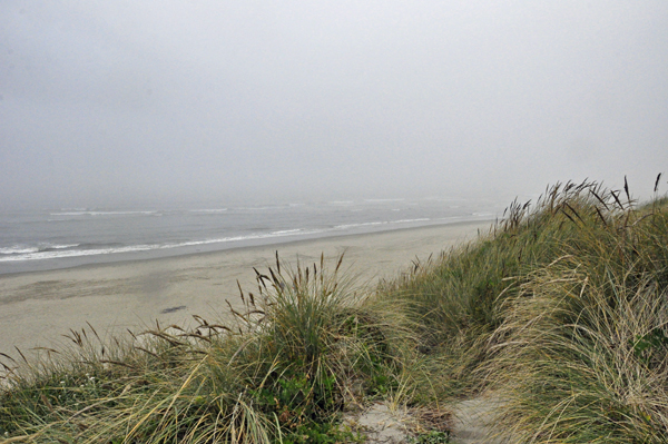 At the top of the sand dune